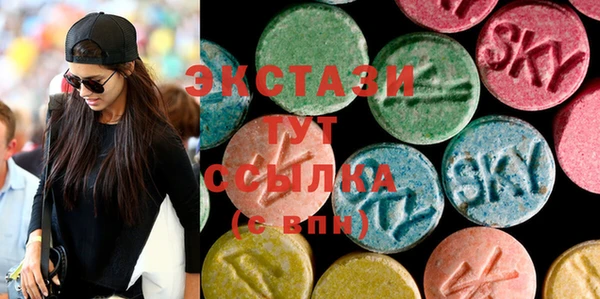 индика Снежногорск