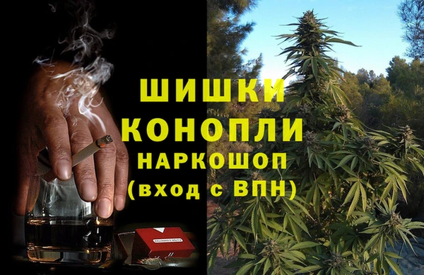 индика Снежногорск