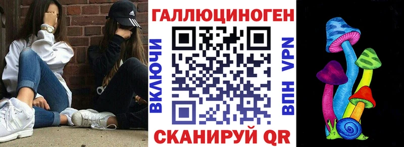 Псилоцибиновые грибы Psilocybe хочу наркоту Ишим