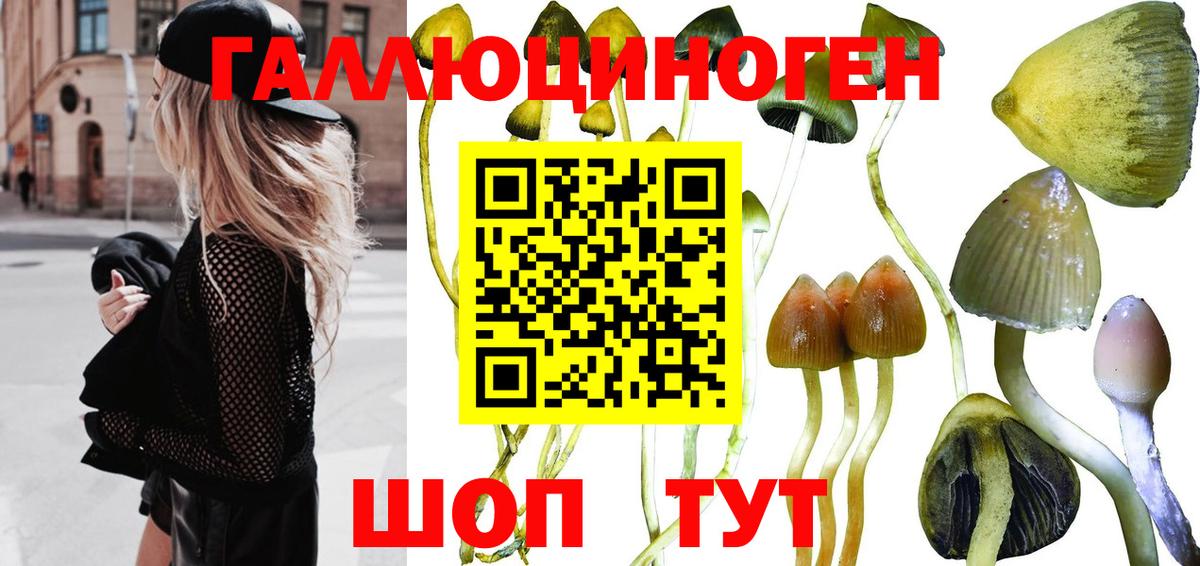 Галлюциногенные грибы Psilocybine cubensis  Галлюциногенные грибы MAGIC MUSHROOMS  Ишим  Вход с VPN 